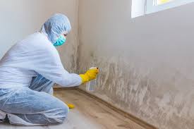 Why You Should Choose Our Mold Remediation Services in Elk Creek, KY